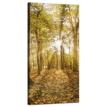 Canvas Print Sun Between Trees in the Forest 40x80 cm