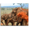 Canvas Print Elephant Pair Savannah Africa Nature 100x80 cm
