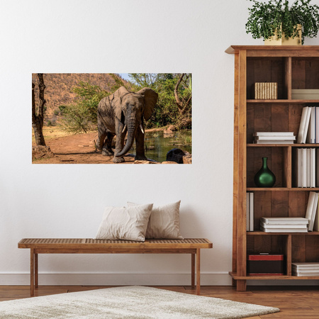 Canvas Print Elephant Africa Water Mud Sun 100x80 cm