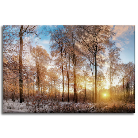 Canvas Print Trees Winter Rising Sun 60x40 cm