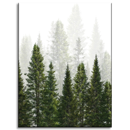 Canvas Print Rain Forest Nature Trees 30x40 cm