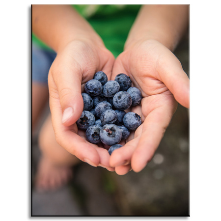 Canvas Print Kitchen Blueberries 30x40 cm