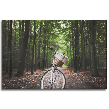 Canvas Print Youth Bike in the Forest 90x60