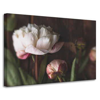 Canvas Print White Flower Nature Vintage Retro 90x60
