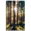 Canvas Print Forest Sun Trees Spring Morning 50x80 cm