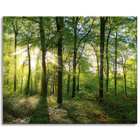 Canvas Print Sun Forest Trees Rays of Light 100x80 cm