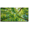 Canvas Print Trees Leaves Nature Forest Spring 120x60 cm