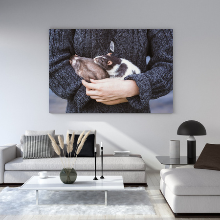 Canvas Print Animals Animals 40x30 cm