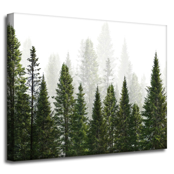 Canvas Print Rain Forest Nature Trees 50x40 cm