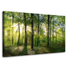 Canvas Print Sun Forest Trees Rays of Light 100x60 cm