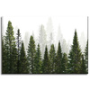 Canvas Print Rain Forest Nature Trees 60x40 cm