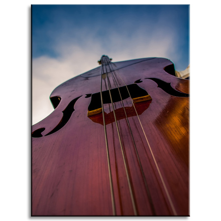 Canvas Print Music Double Bass 30x40 cm