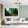 Canvas Print Forest Trees Sun Rays 120x80 cm