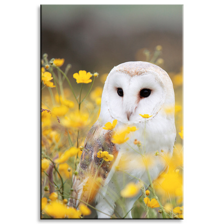Canvas Print White Owl Flowers Nature Meadow 80x120
