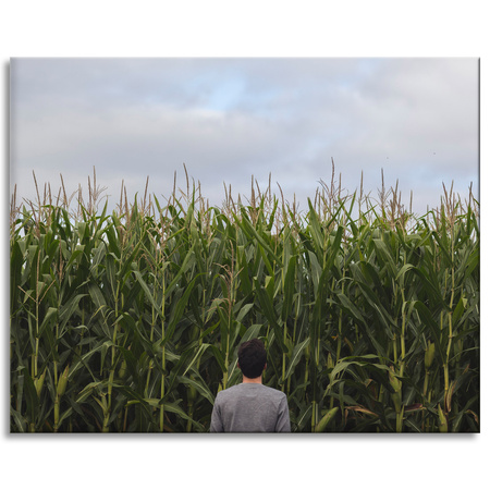 Canvas Print Nature Corn Field 100x80 cm
