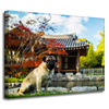 Canvas Print Animals Dog_2 40x30 cm