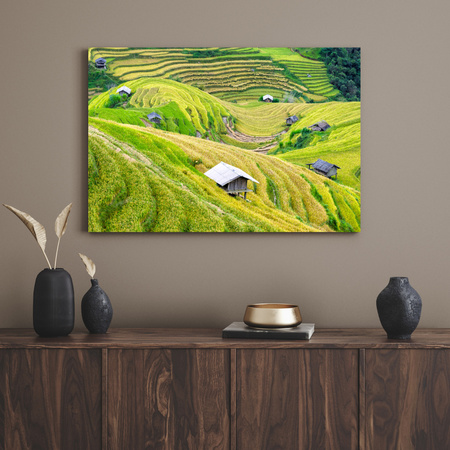 Canvas Print Nature Agricultural Terraces 100x80 cm