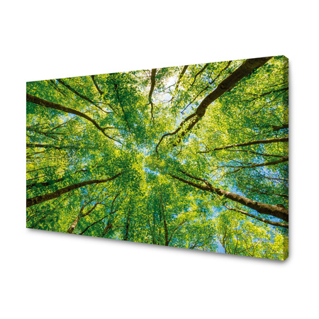 Canvas Print Trees Leaves Nature Forest Spring 90x60 cm