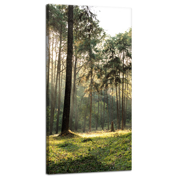 Canvas Print Forest Trees Sun Nature 40x80 cm