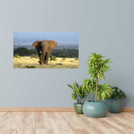 Canvas Print Elephant Africa Savannah Nature Art 100x80 cm