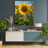 Canvas Print Botany Sunflower Field 30x40 cm