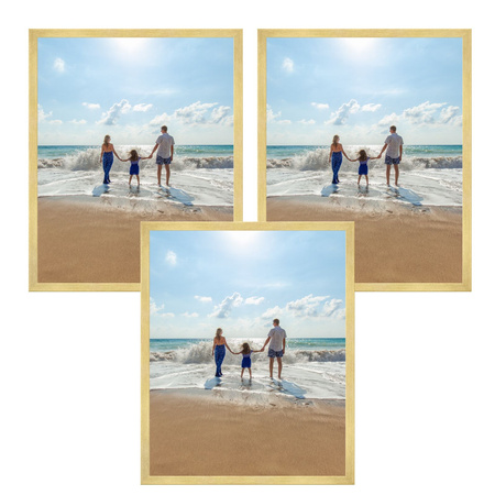 3x Gold Frame 40x50, I L13,15,045, Plexiglass