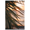 Canvas Print Nature Beach Palm Tree Sea Sunset 80x120