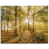 Canvas Print Sun Between Trees in the Forest 100x80 cm