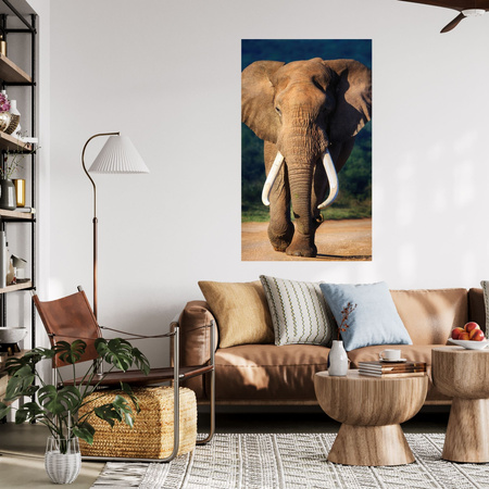 Canvas Print Big Big Elephant Animal Nature 80x120 cm