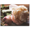 Canvas Print Botany Peony 40x30 cm