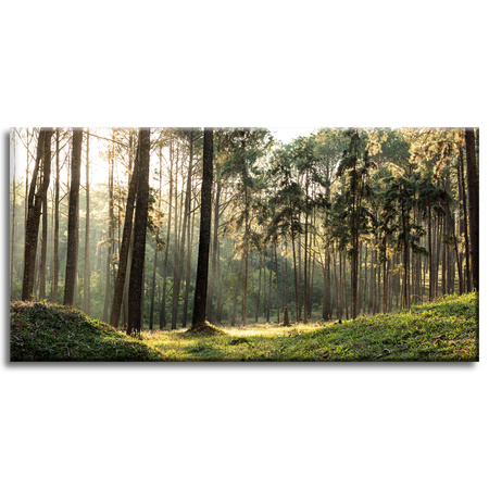 Canvas Print Forest Trees Sun Nature 80x40 cm