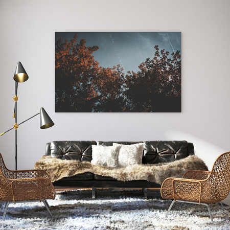 Canvas Print Nature Orange Tree Crowns 40x30 cm