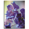 Canvas Print Botany Purple Hydrangea 30x40 cm