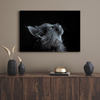 Canvas Print Animals Cat 100x80 cm