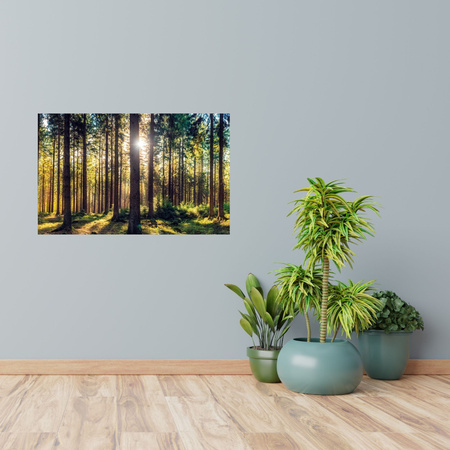 Canvas Print Forest Sun Trees Spring Morning 100x80 cm