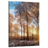 Canvas Print Trees Winter Rising Sun 60x90 cm