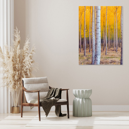 Canvas Print Birch Trees Autumn Yellow Leaves 30x40 cm