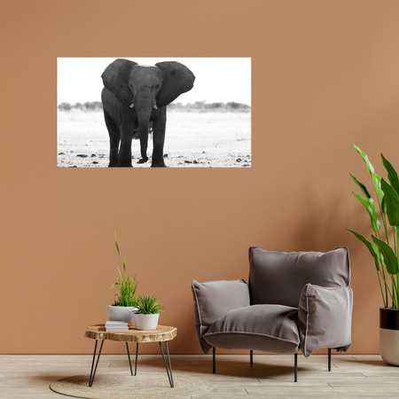 Canvas Print Gray Elephant Nature Black and White 100x80 cm