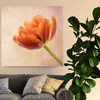 Canvas Print Botany Tulip 40x40 cm