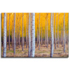 Canvas Print Birch Trees Autumn Yellow Leaves 60x40 cm