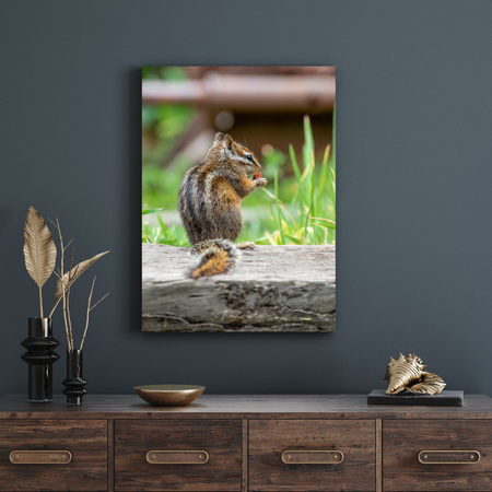 Canvas Print Animals Squirrel 30x40 cm