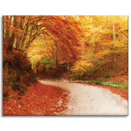 Canvas Print Path in Autumn Forest Colorful Leaves 100x80 cm