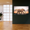 Canvas Print Muddy Running Elephant Nature 100x80 cm