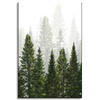 Canvas Print Rain Forest Nature Trees 60x90 cm