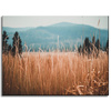 Canvas Print Nature Blades of Grass 40x30 cm