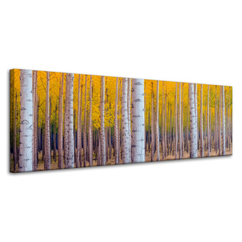 Canvas Print Birch Trees Autumn Yellow Leaves 120x40 cm