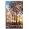 Canvas Print Trees Winter Rising Sun 50x80 cm