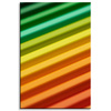 Canvas Print Abstract Colorful RGB Lights 80x120