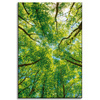 Canvas Print Trees Leaves Nature Forest Spring 60x90 cm