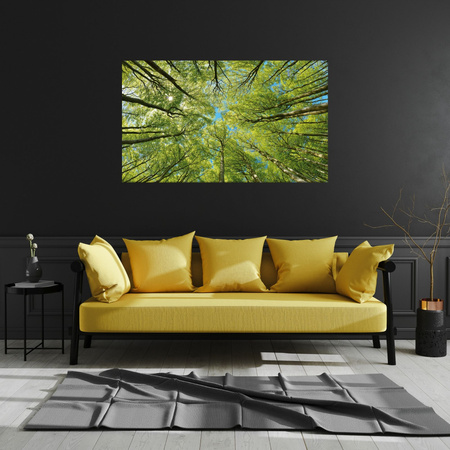 Canvas Print Leaves Trees Green Sun Sky 120x80 cm